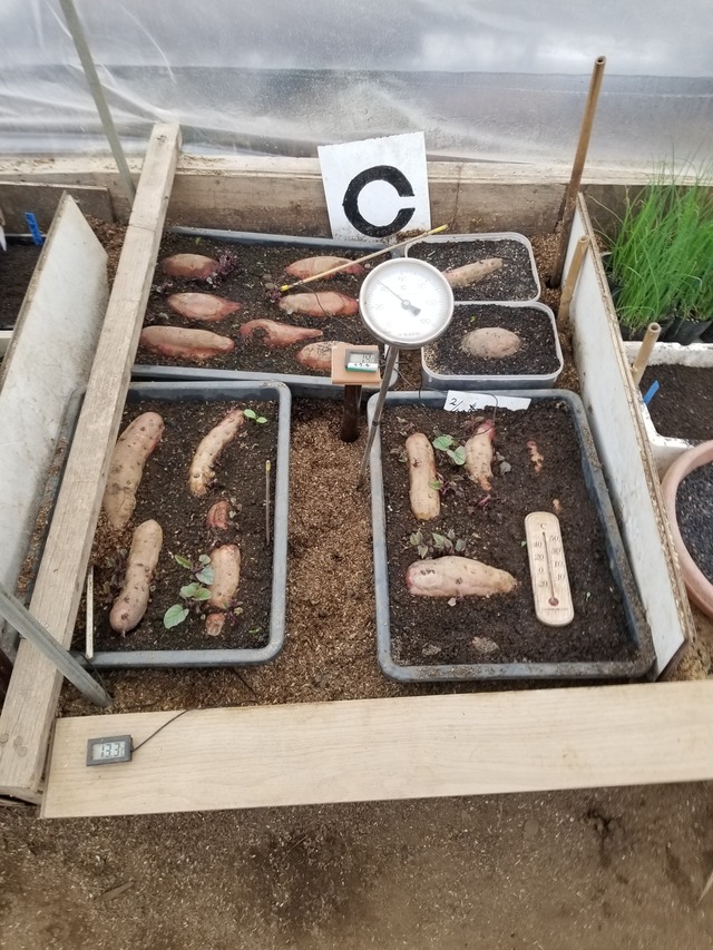 20240308_091915_copy_2268x3024