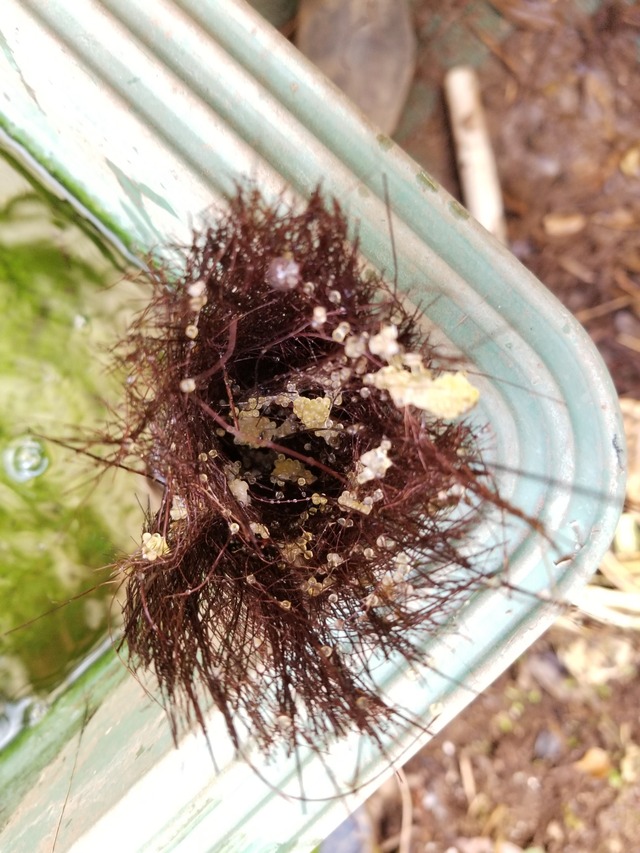 20190522_084900-1620x2160