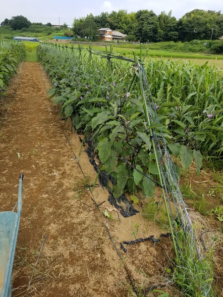 20190731_093230-1620x2160