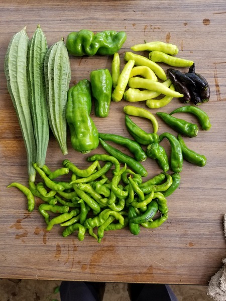 20190925_081550-1620x2160