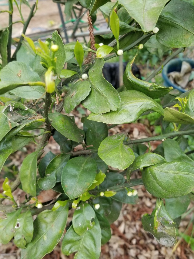 20230422_082544_copy_1512x2016