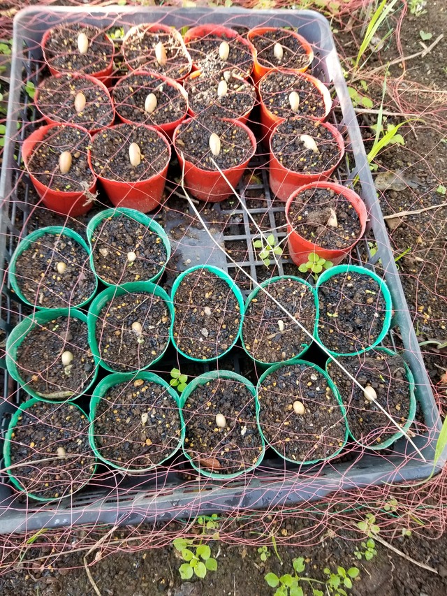 20201105_080547_copy_2268x3024