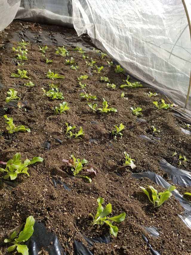 20231217_095001_copy_1512x2016