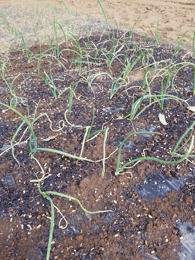 20221028_101957_copy_1512x2016