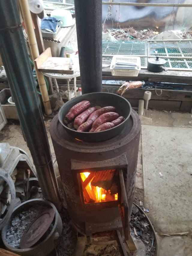 20240112_103008_copy_1512x2016