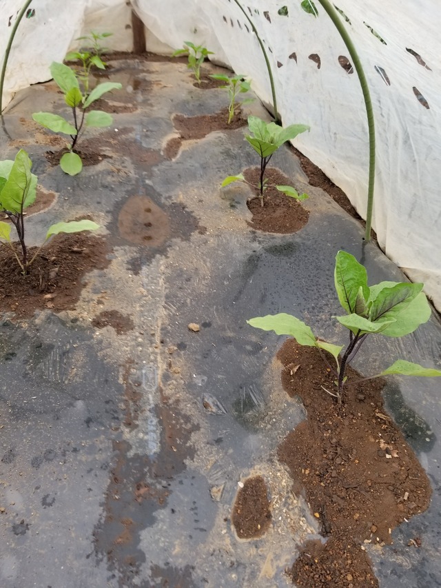 20230430_080802_copy_1512x2016