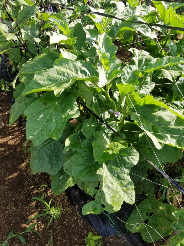 20220630_074944_copy_1512x2016