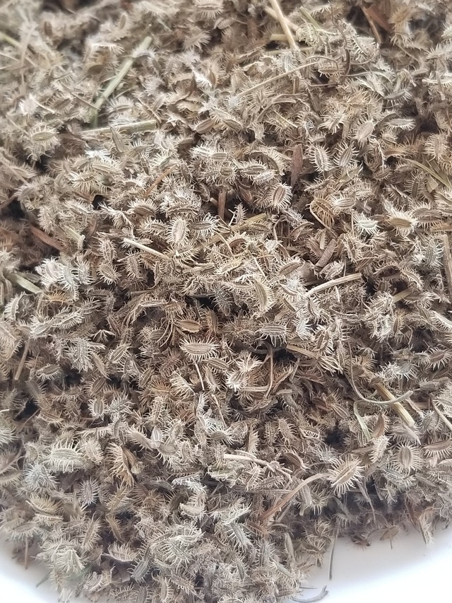 20230715_150451_copy_1512x2016