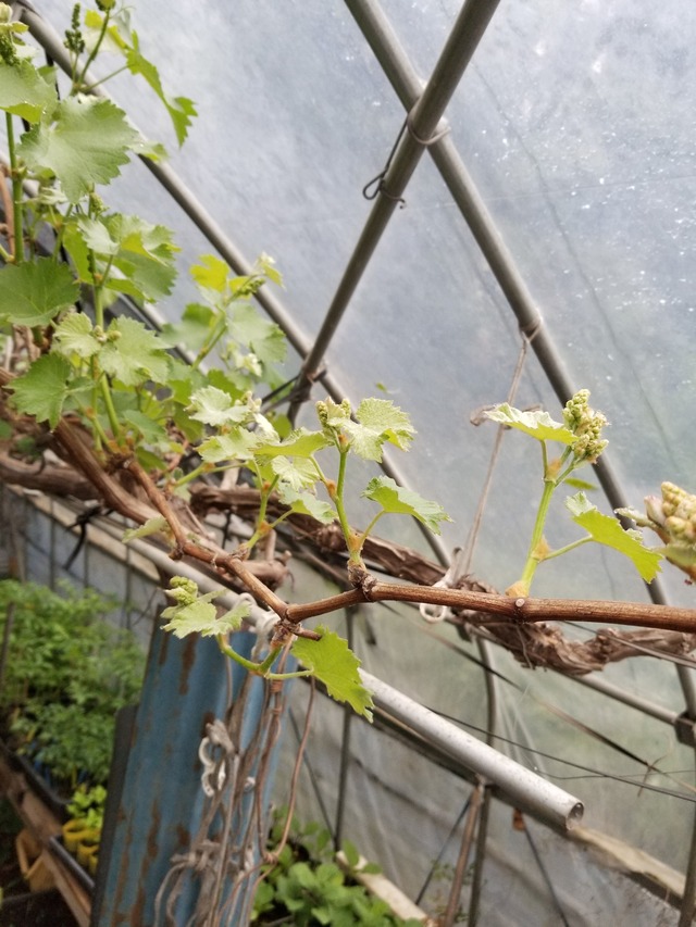 20210414_074129_copy_2268x3024