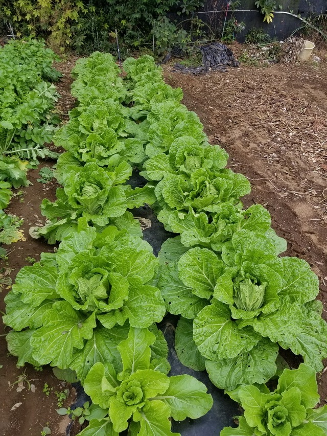 20211031_093505_copy_2268x3024