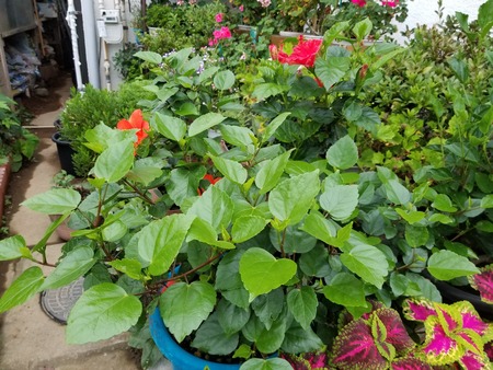 20190706_181600-2160x1620