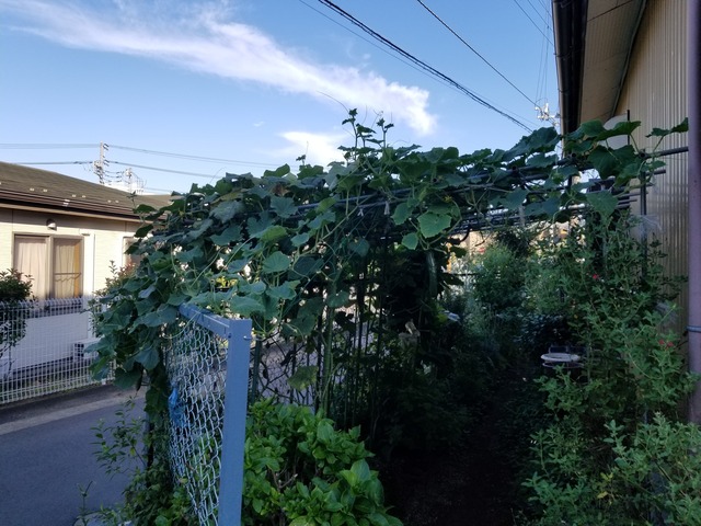 20230817_164616_copy_2016x1512