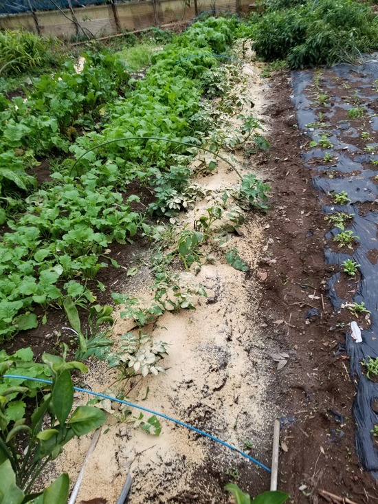 20191019_145639-1620x2160