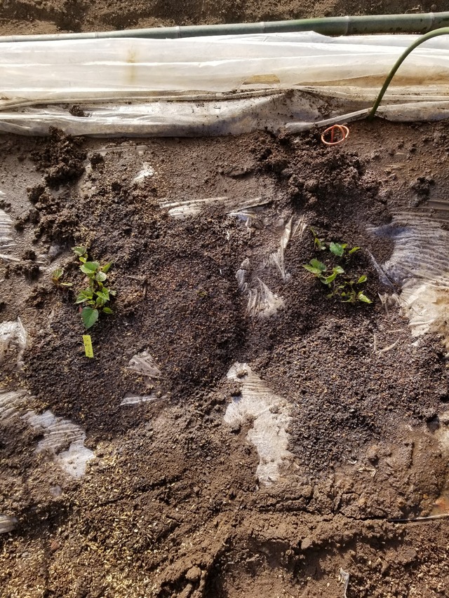 20230311_151135_copy_1209x1612