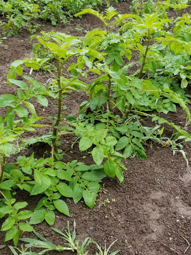 20201019_082832_copy_2268x3024