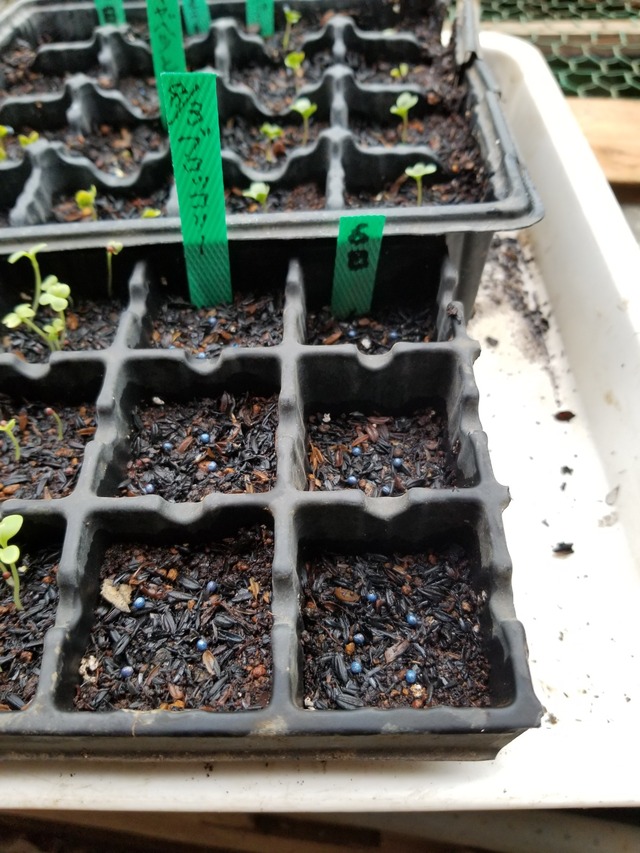 20230806_103005_copy_1512x2016_1