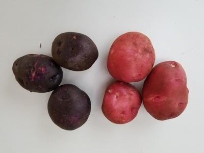 ホーム画面エクスブローラー141111