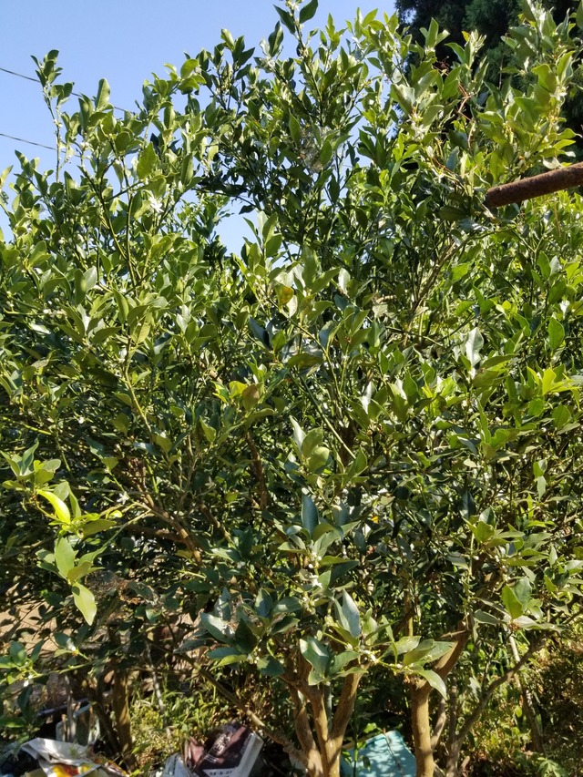 20230726_150214_copy_1512x2016