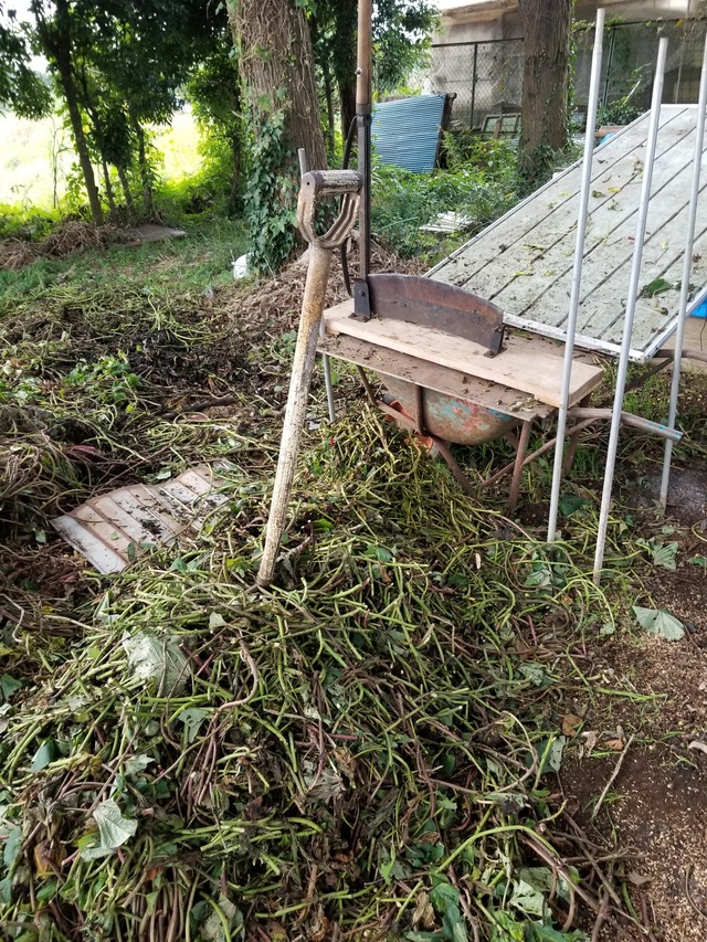 20221024_152535_copy_1512x2016