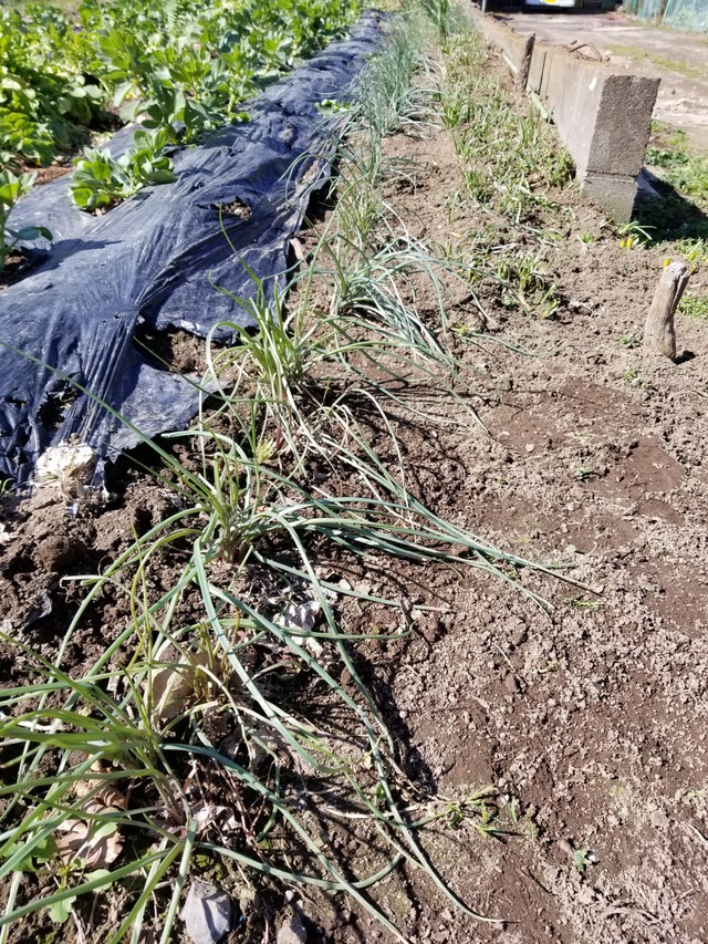 20200223_111519-2268x3024