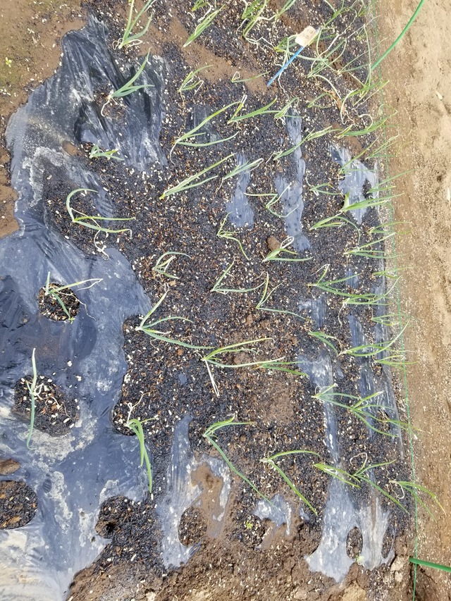 20221028_101858_copy_1512x2016