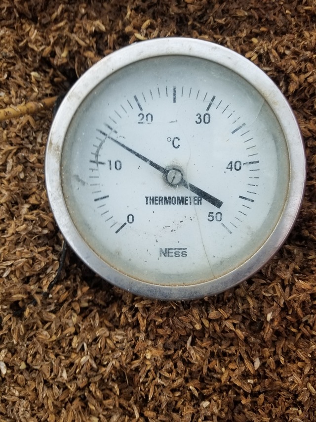 20240110_101142_copy_1512x2016