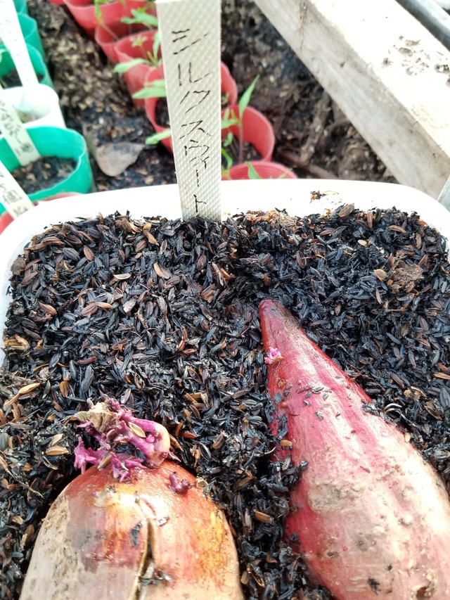 20200223_163531-2268x3024