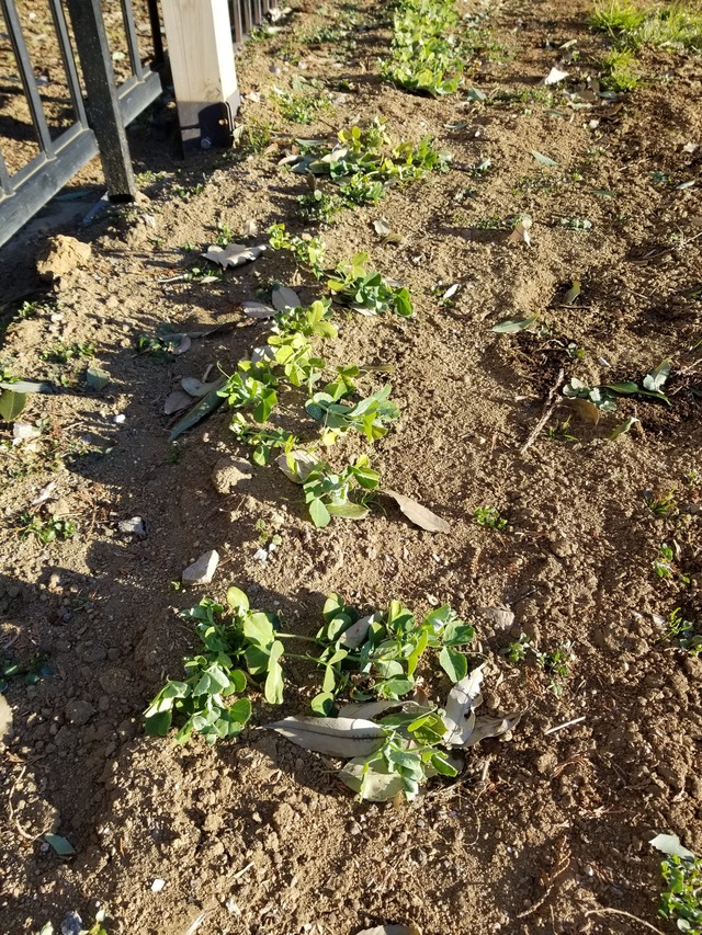 20220119_081149_copy_2268x3024