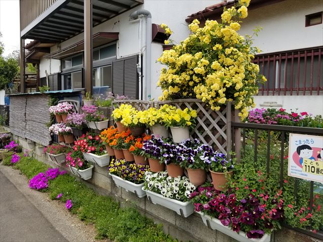 20190429_114258_R