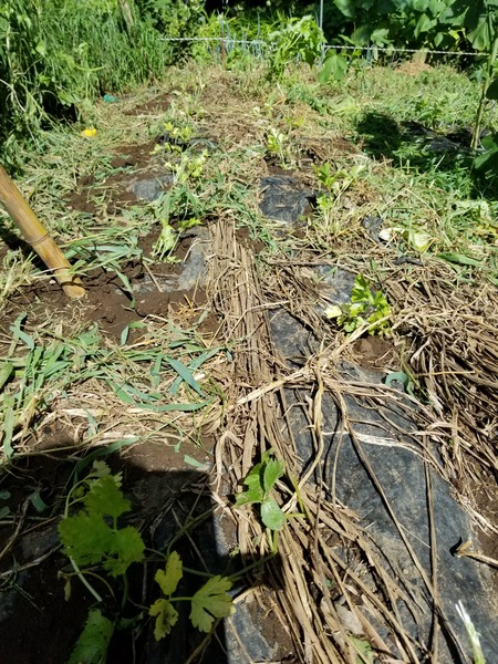 20190805_085234-1620x2160