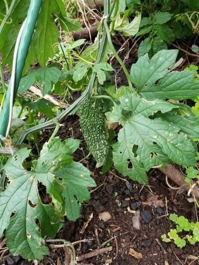 20190628_082715-1620x2160