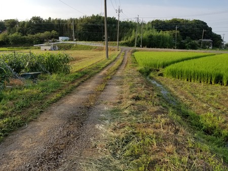 20190730_172117-2160x1620