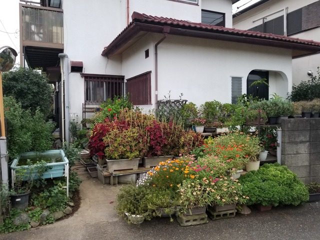 20220915_053529_copy_3024x2268