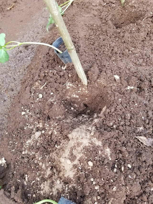 20230731_145434_copy_1512x2016