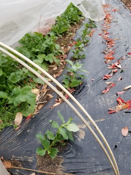 20191222_143142-2268x3024