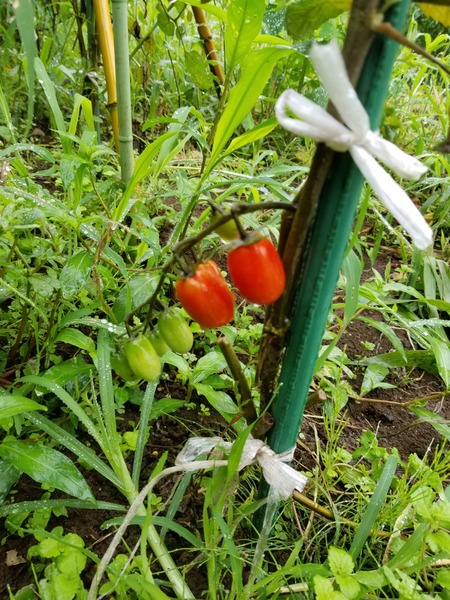 20190714_101305-1620x2160