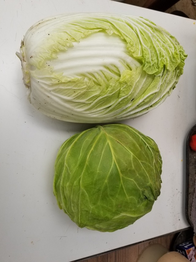 20210118_085143_copy_2268x3024