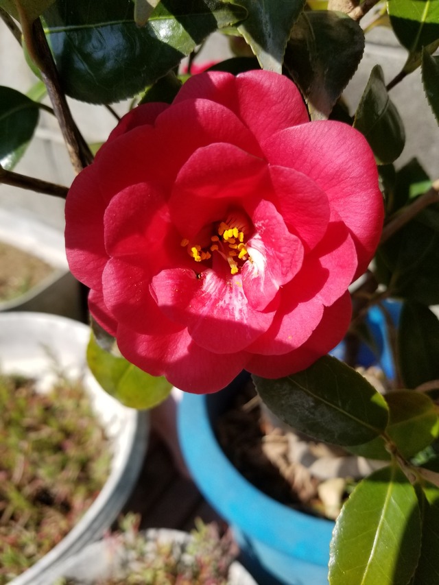 20220312_114908_copy_2268x3024