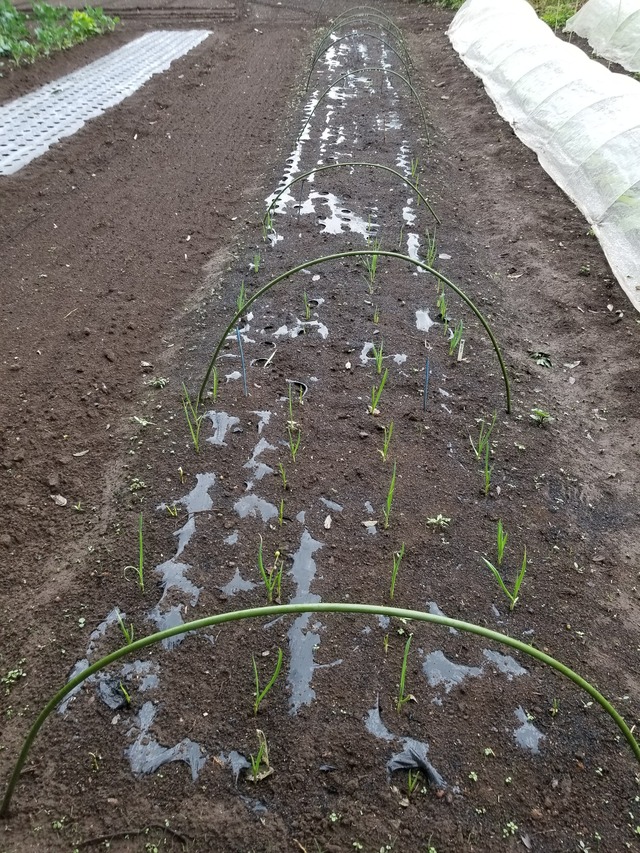 20201009_074452_copy_2268x3024