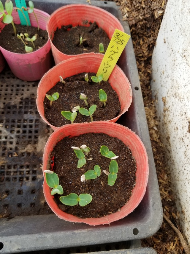 20230331_090418_copy_1512x2016