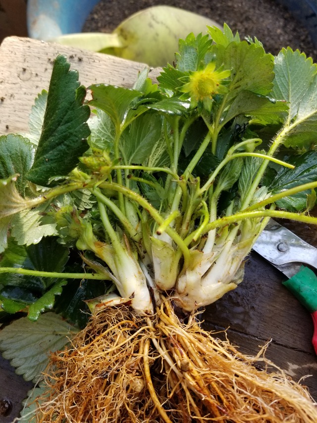 20240411_073446_copy_2268x3024