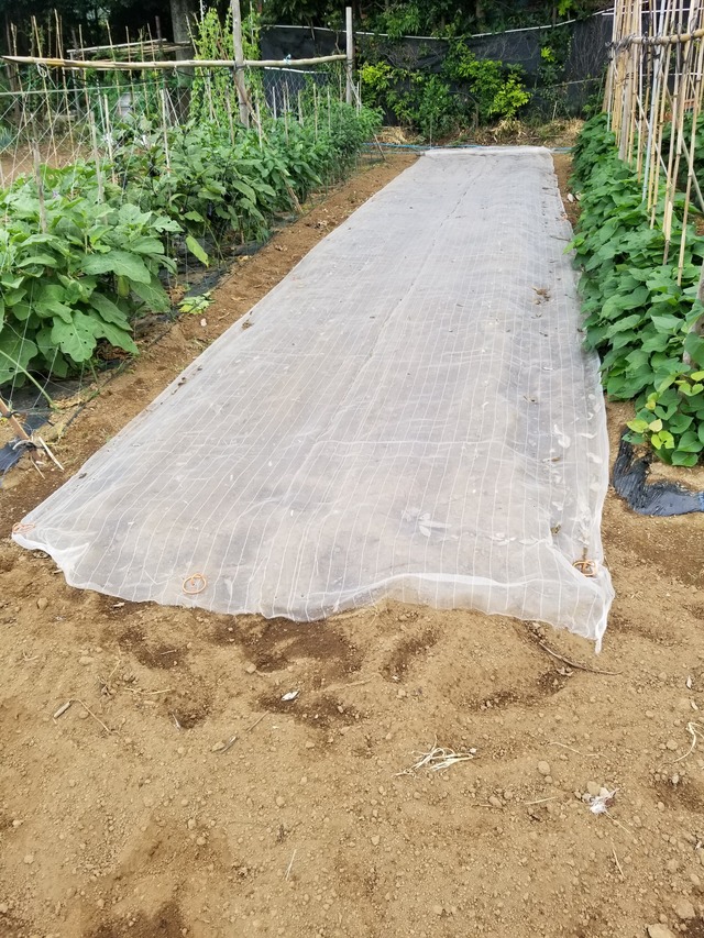 20230709_073950_copy_1512x2016