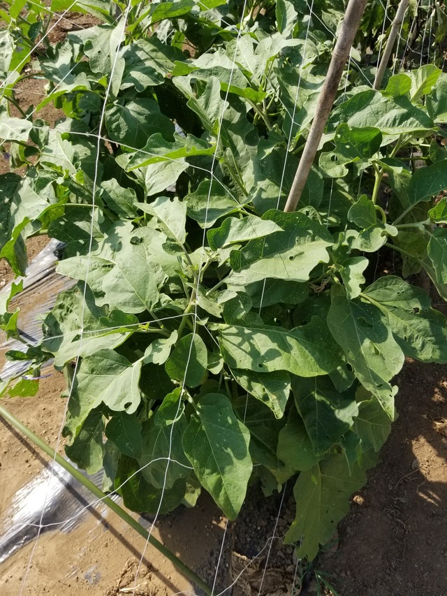 20230711_152724_copy_1512x2016