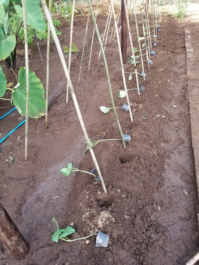 20230731_145427_copy_1512x2016