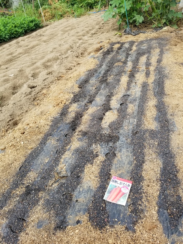 20210828_083606_copy_2268x3024