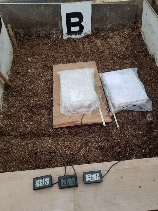 20240121_072345_copy_1512x2016