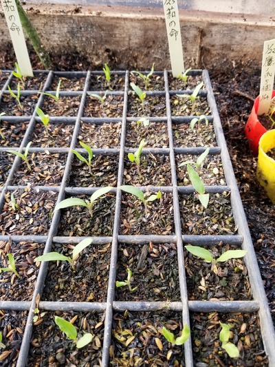 20200220_082612-2268x3024