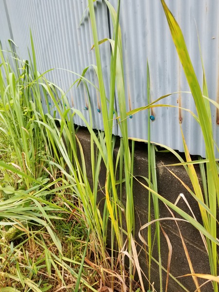 20190715_164457-1620x2160