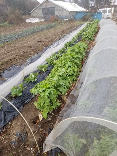 20200214_084636-2268x3024