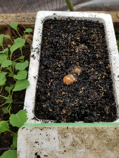 20200127_085629-2268x3024